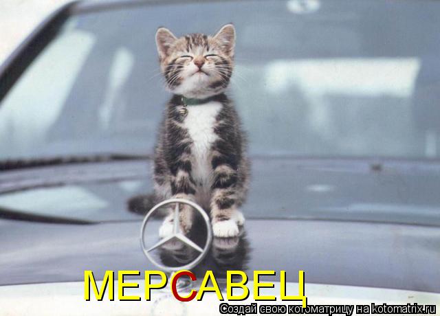 МЕРСАВЕЦ С... Котоматрица: МЕРСАВЕЦ С