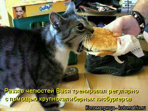 Раззяв челюстей Вася тренировал регулярно с помощью крупнокалиберных кисбургеров... Котоматрица: Раззяв челюстей Вася тренировал регулярно с помощью крупнокалиберных кисбургеров