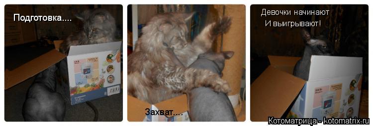 Подготовка.... Захват.... Девочки начинают И выигрывают!... Котоматрица: Подготовка.... Захват.... Девочки начинают И выигрывают!