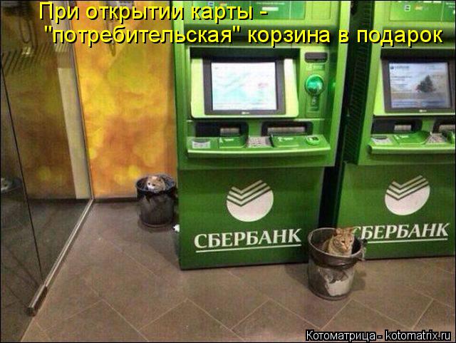 При открытии карты - "потребительская" корзина в подарок... Котоматрица: При открытии карты - "потребительская" корзина в подарок