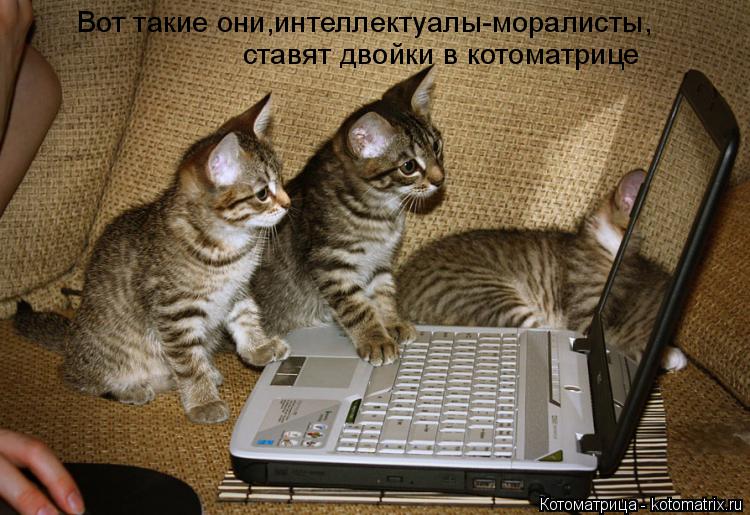 Вот такие они,интеллектуалы-моралисты, ставят двойки в котоматрице... Котоматрица: Вот такие они,интеллектуалы-моралисты, ставят двойки в котоматрице