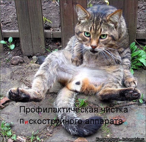 Профилактическая чистка п и скоструйного аппарата... Котоматрица: Профилактическая чистка п и скоструйного аппарата