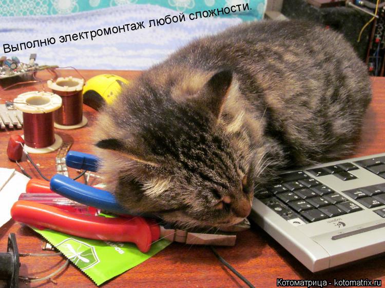 Выполню электромонтаж любой сложности.... Котоматрица: Выполню электромонтаж любой сложности.