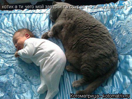 котик а ти чего мой завтрак та сожрал но деньги не дал ): котик а ти чего мой завтрак та сожрал но де... Котоматрица: котик а ти чего мой завтрак та сожрал но деньги не дал ): котик а ти чего мой завтрак та сожрал но деньги не дал ):