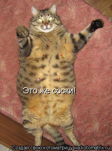 Это же соски! . . . .... Котоматрица: Это же соски! . . . .