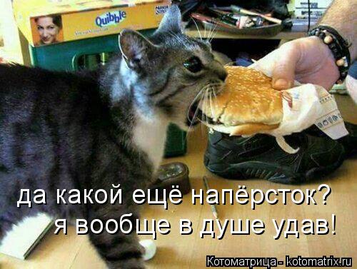 да какой ещё напёрсток? я вообще в душе удав!... Котоматрица: да какой ещё напёрсток? я вообще в душе удав!
