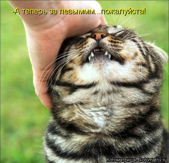 -А теперь за левыммм...пожалуйста!... Котоматрица: -А теперь за левыммм...пожалуйста!