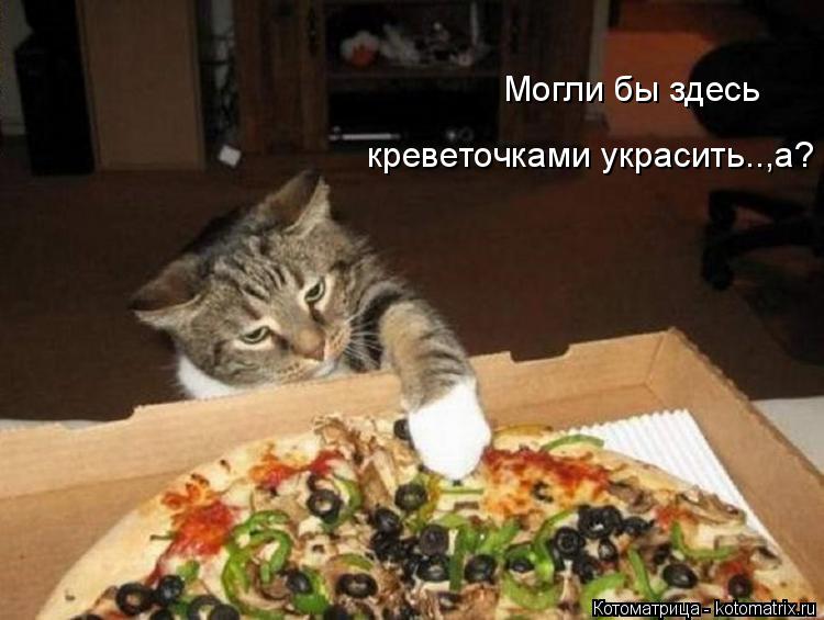 Могли бы здесь креветочками украсить..,а?... Котоматрица: Могли бы здесь креветочками украсить..,а?