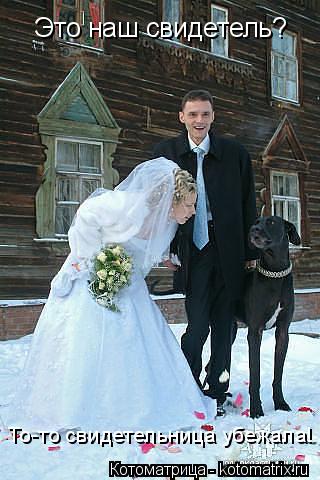 Это наш свидетель? То-то свидетельница убежала!... Котоматрица: Это наш свидетель? То-то свидетельница убежала!