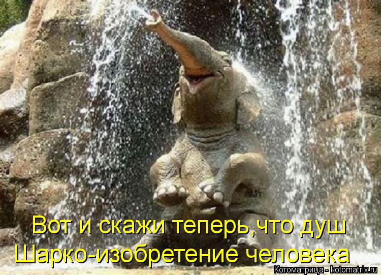 Вот и скажи теперь,что душ Шарко-изобретение человека... Котоматрица: Вот и скажи теперь,что душ Шарко-изобретение человека