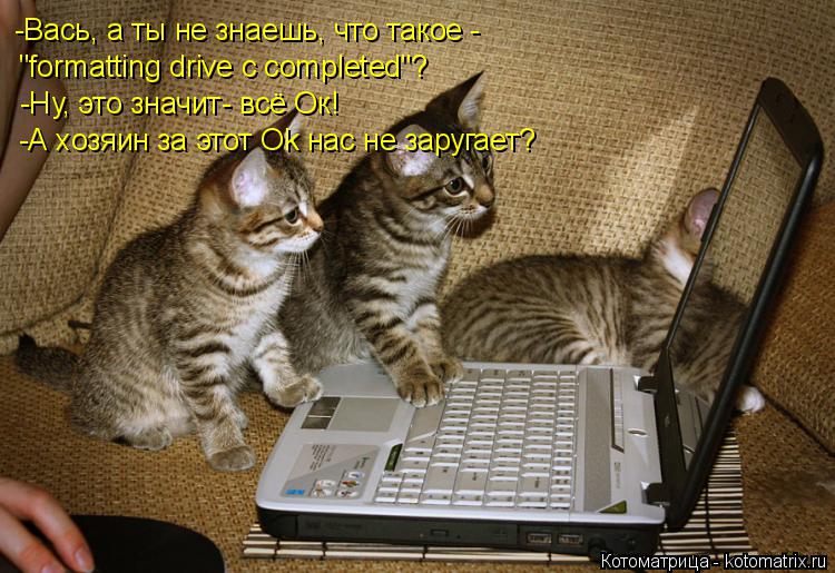 -Вась, а ты не знаешь, что такое - "formatting drive c completed"? -Ну, это значит- всё Ок! -А хозяин... Котоматрица: -Вась, а ты не знаешь, что такое - "formatting drive c completed"? -Ну, это значит- всё Ок! -А хозяин за этот Ok нас не заругает?