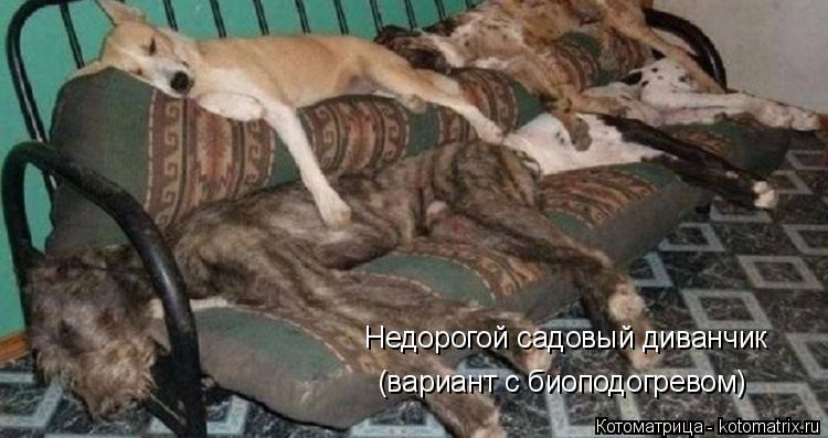 Недорогой садовый диванчик (вариант с биоподогревом)... Котоматрица: Недорогой садовый диванчик (вариант с биоподогревом)