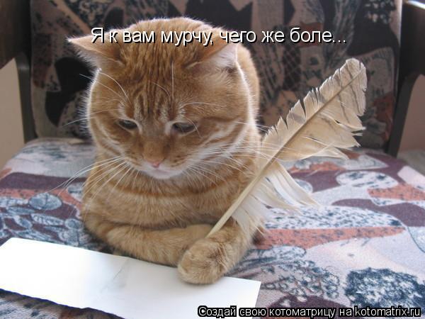 Я к вам мурчу, чего же боле...... Котоматрица: Я к вам мурчу, чего же боле...