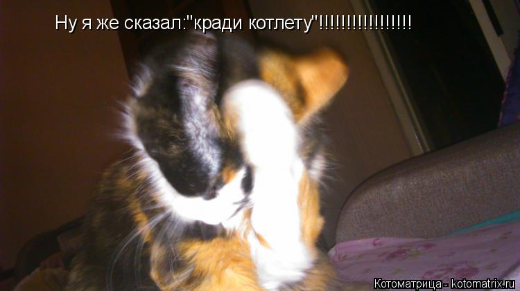 Ну я же сказал:''кради котлету''!!!!!!!!!!!!!!!!!... Котоматрица: Ну я же сказал:''кради котлету''!!!!!!!!!!!!!!!!!