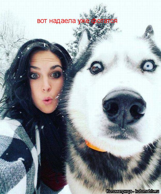 Котоматрица: вот надаела уже фотатся