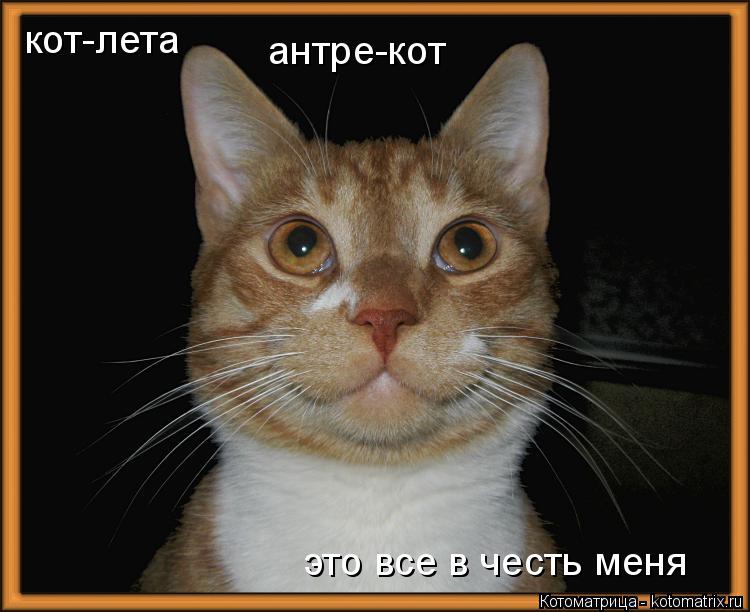 кот-лета антре-кот это все в честь меня... Котоматрица: кот-лета антре-кот это все в честь меня