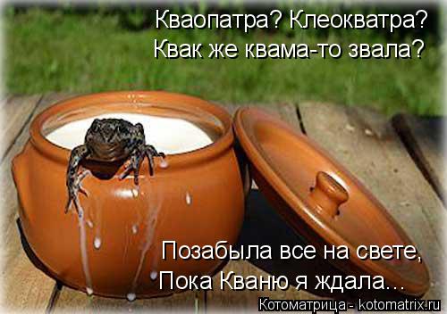 Кваопатра? Клеокватра? Квак же квама-то звала? Позабыла все на свете, Пока Кваню я ждала…... Котоматрица: Кваопатра? Клеокватра? Квак же квама-то звала? Позабыла все на свете, Пока Кваню я ждала…