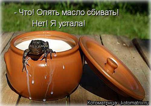 - Что! Опять масло сбивать! Нет! Я устала!... Котоматрица: - Что! Опять масло сбивать! Нет! Я устала!