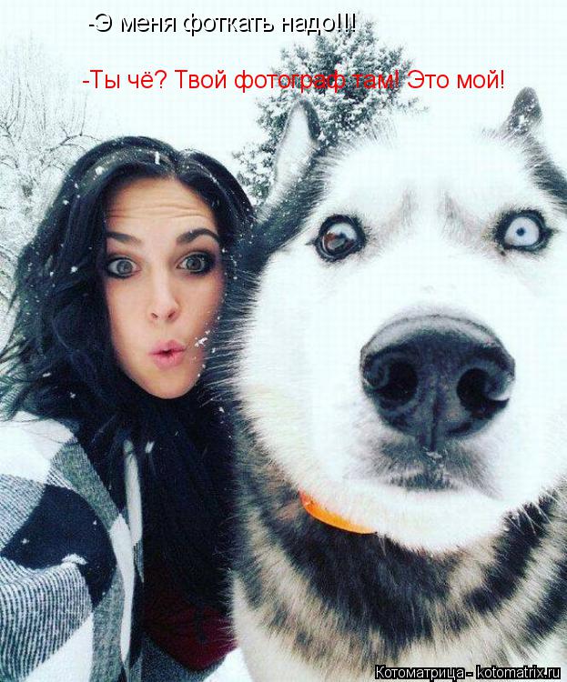 -Э меня фоткать надо!!! -Ты чё? Твой фотограф там! Это мой!... Котоматрица: -Э меня фоткать надо!!! -Ты чё? Твой фотограф там! Это мой!