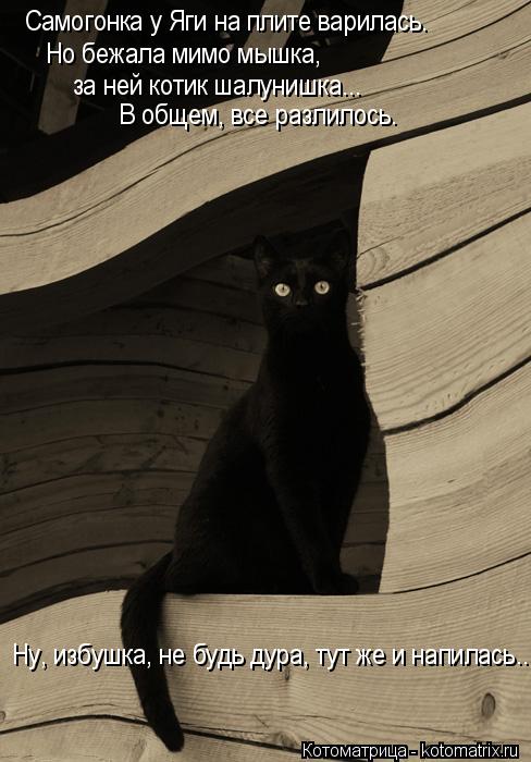 Котоматрица: Ну, избушка, не будь дура, тут же и напилась... Самогонка у Яги на плите варилась. Но бежала мимо мышка,  за ней котик шалунишка... В общем, все ра