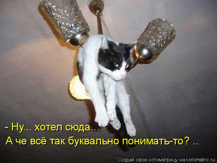 - Ну... хотел сюда... А че всё так буквально понимать-то? ..... Котоматрица: - Ну... хотел сюда... А че всё так буквально понимать-то? ..