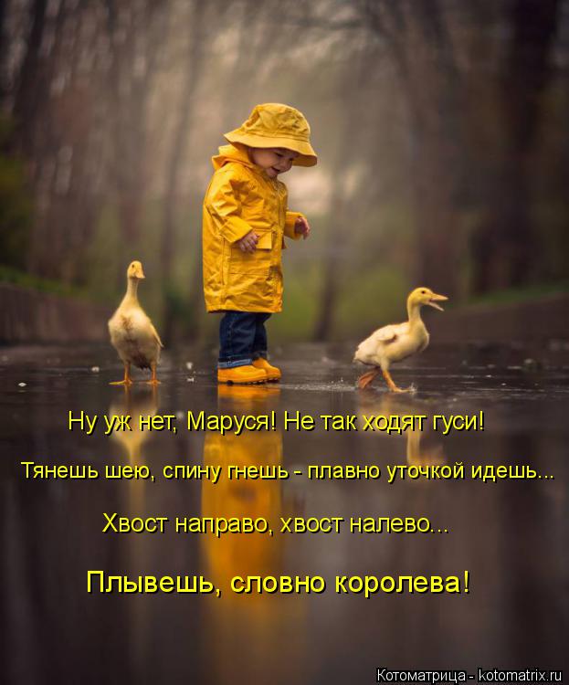 Ну уж нет, Маруся! Не так ходят гуси! Тянешь шею, спину гнешь - плавно уточкой идешь... Хвост направо... Котоматрица: Ну уж нет, Маруся! Не так ходят гуси! Тянешь шею, спину гнешь - плавно уточкой идешь... Хвост направо, хвост налево... Плывешь, словно королева!