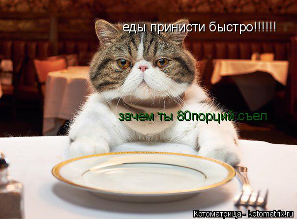 еды принисти быстро!!!!!! зачем ты 80порций съел... Котоматрица: еды принисти быстро!!!!!! зачем ты 80порций съел