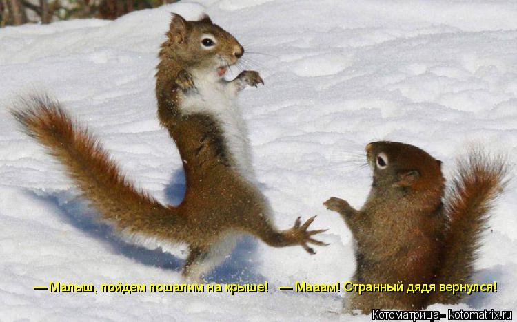 Котоматрица: — Малыш, пойдем пошалим на крыше!   — Мааам! Странный дядя вернулся!