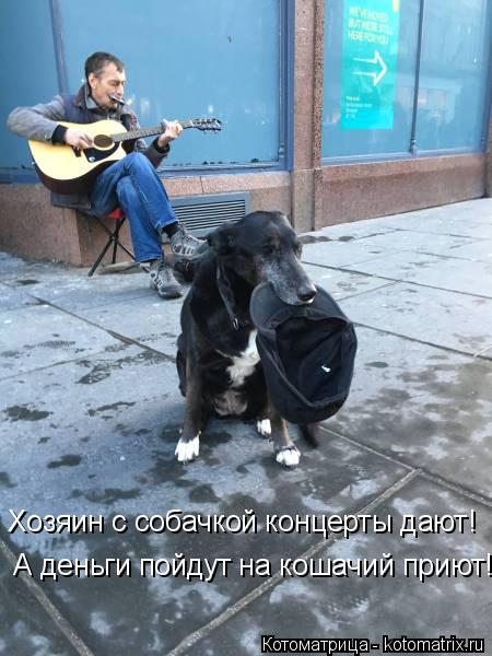 Котоматрица: Хозяин с собачкой концерты дают!  А деньги пойдут на кошачий приют!