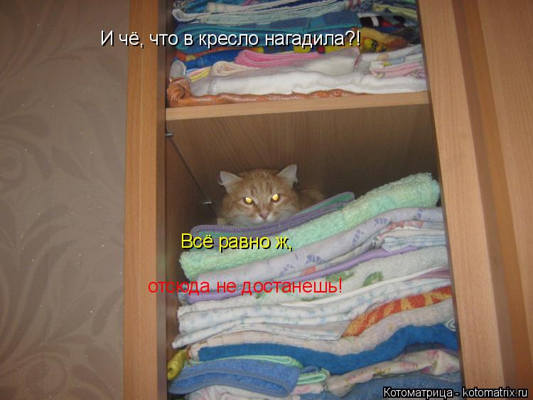 Котоматрица: И чё, что в кресло нагадила?! Всё равно ж, отсюда не достанешь!
