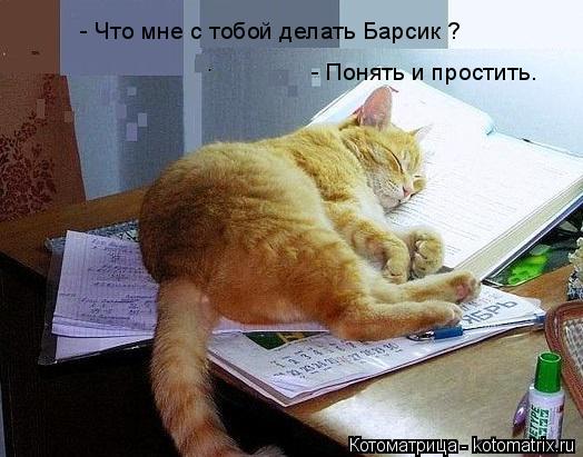Котоматрица: - Что мне с тобой делать Барсик ? - Понять и простить.