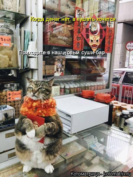 Котоматрица: Когда денег нет, а кушать хочется Приходите в наш новый суши-бар