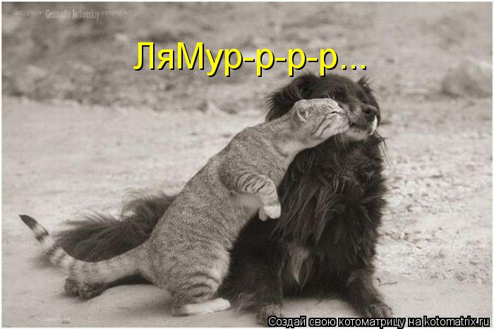 Котоматрица: ЛяМур-р-р-р...