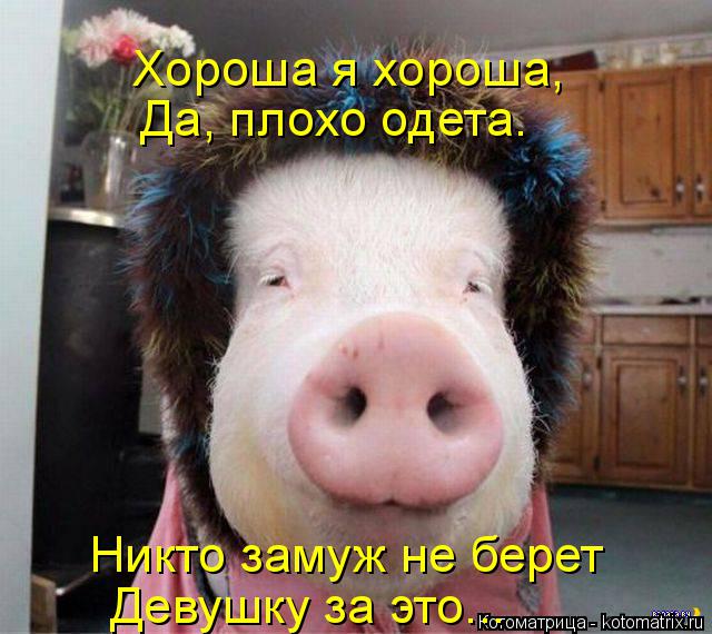 Хороша я хороша, Да, плохо одета. Никто замуж не берет Девушку за это...... Котоматрица: Хороша я хороша, Да, плохо одета. Никто замуж не берет Девушку за это...
