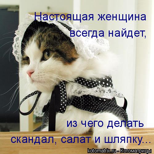 Котоматрица: Настоящая женщина  всегда найдет, скандал, салат и шляпку... из чего делать