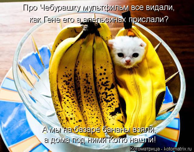 Котоматрица: Про Чебурашку мультфильм все видали, а дома под ними Котю нашли! как Гене его а апельсинах прислали? А мы на базаре бананы взяли,