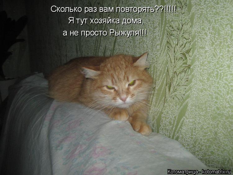 Котоматрица: Сколько раз вам повторять??!!!!! Я тут хозяйка дома, а не просто Рыжуля!!!