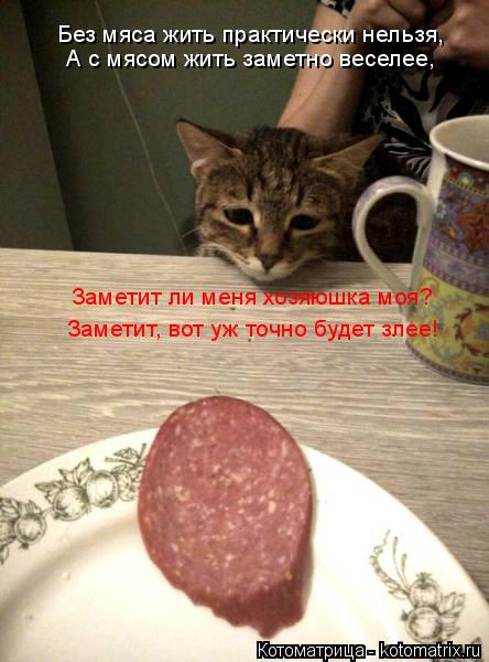 Котоматрица: Без мяса жить практически нельзя,  А с мясом жить заметно веселее,  Заметит ли меня хозяюшка моя? Заметит, вот уж точно будет злее!