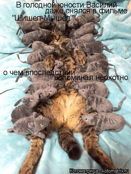 Котоматрица: В голодной юности Василий    даже снялся в фильме   "Шишел-Мышел".. о чем впоследствии     вспоминал неохотно...