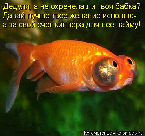 Котоматрица: -Дедуля, а не охренела ли твоя бабка? Давай лучше твое желание исполню- а за свой счет киллера для нее найму!
