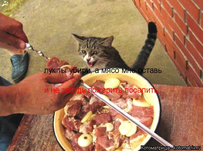 Котоматрица: лук ты убири, а мясо мне оставь и не забудь пожарить посалить