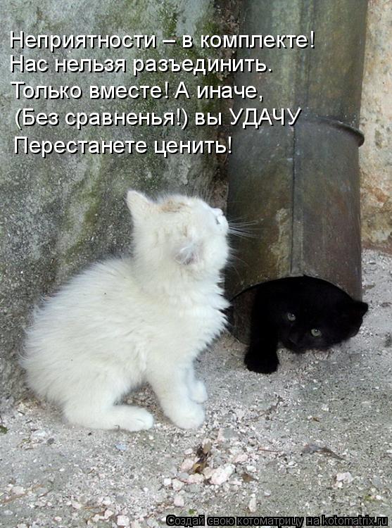 Котоматрица: Неприятности – в комплекте! Нас нельзя разъединить. Только вместе! А иначе, (Без сравненья!) вы УДАЧУ Перестанете ценить!