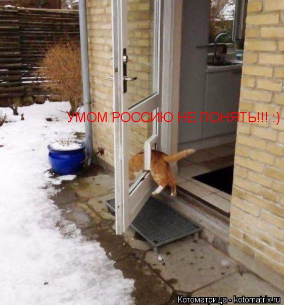 УМОМ РОССИЮ НЕ ПОНЯТЬ!!! :)... Котоматрица: УМОМ РОССИЮ НЕ ПОНЯТЬ!!! :)