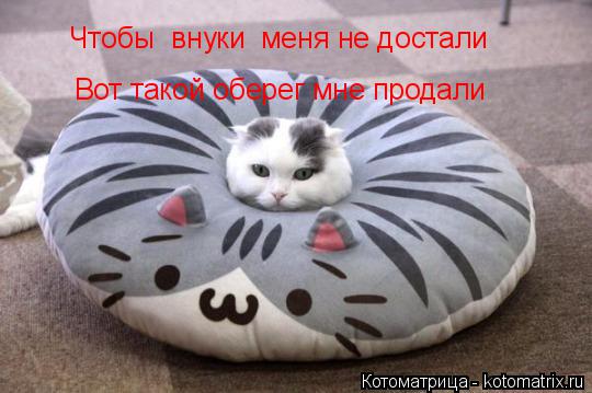 Чтобы внуки меня не достали Вот такой оберег мне продали... Котоматрица: Чтобы внуки меня не достали Вот такой оберег мне продали