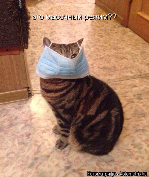 это масочный режим??... Котоматрица: это масочный режим??