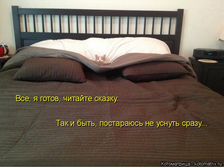 Все, я готов, читайте сказку. Так и быть, постараюсь не уснуть сразу Все, я готов, читайте сказку. Т... Котоматрица: Все, я готов, читайте сказку. Так и быть, постараюсь не уснуть сразу Все, я готов, читайте сказку. Так и быть, постараюсь не уснуть сразу...