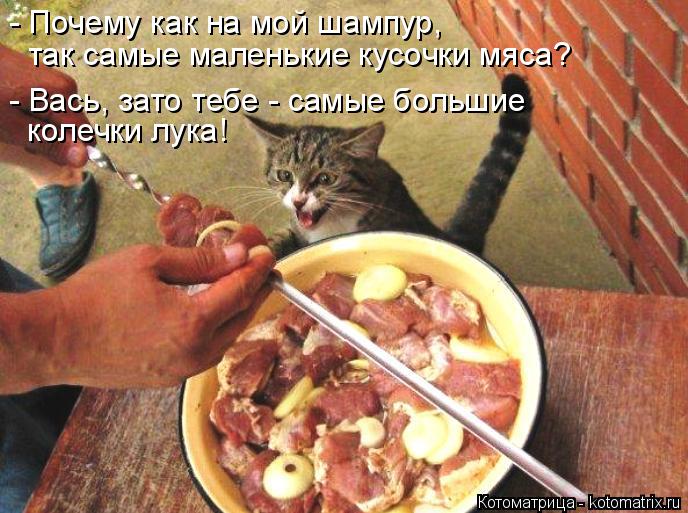 - Почему как на мой шампур, так самые маленькие кусочки мяса? - Вась, зато тебе - самые большие кол... Котоматрица: - Почему как на мой шампур, так самые маленькие кусочки мяса? - Вась, зато тебе - самые большие колечки лука!