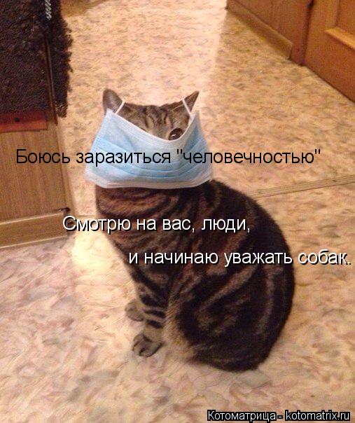 Боюсь заразиться "человечностью" Смотрю на вас, люди, и начинаю уважать собак.... Котоматрица: Боюсь заразиться "человечностью" Смотрю на вас, люди, и начинаю уважать собак.