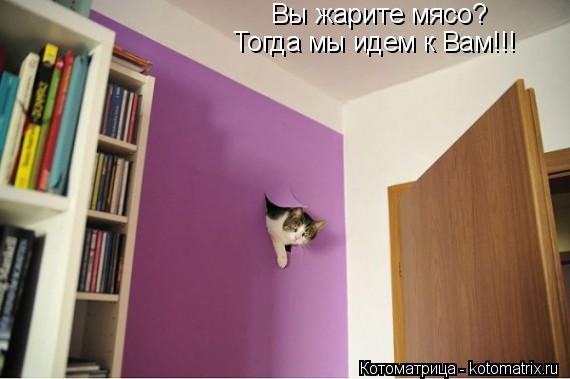 Вы жарите мясо? Тогда мы идем к Вам!!!... Котоматрица: Вы жарите мясо? Тогда мы идем к Вам!!!