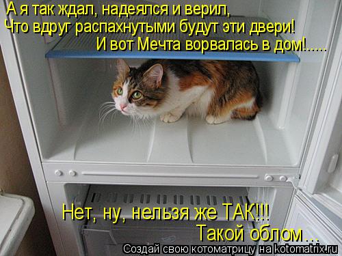 А я так ждал, надеялся и верил, Что вдруг распахнутыми будут эти двери! Нет, ну, нельзя же ТАК!!! Так... Котоматрица: А я так ждал, надеялся и верил, Что вдруг распахнутыми будут эти двери! Нет, ну, нельзя же ТАК!!! Такой облом… И вот Мечта ворвалась в дом!.....
